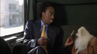 Tehlikeli İkili izle