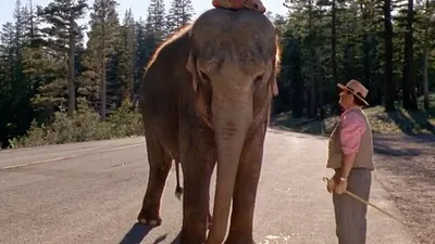 Larger Than Life izle