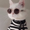 ADUNUDE adlı kullanıcı